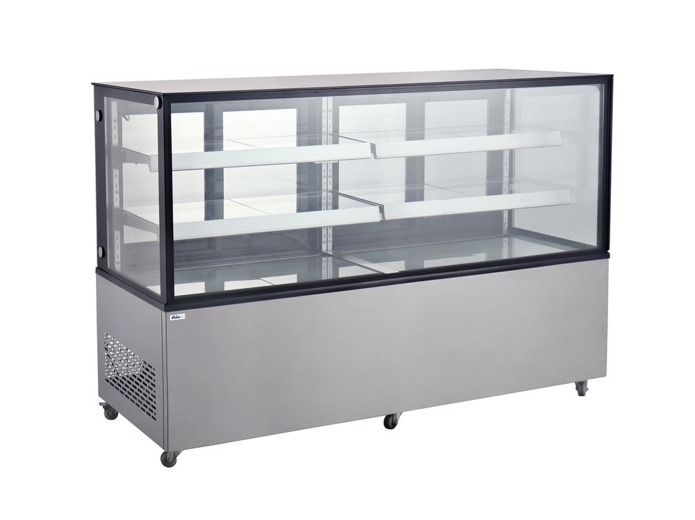 Arktic Koelvitrine met 2 schappen 233467